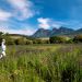 Babylonstoren